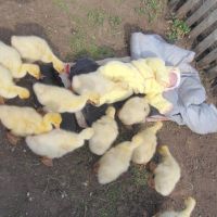 � �� ��� ����� �����